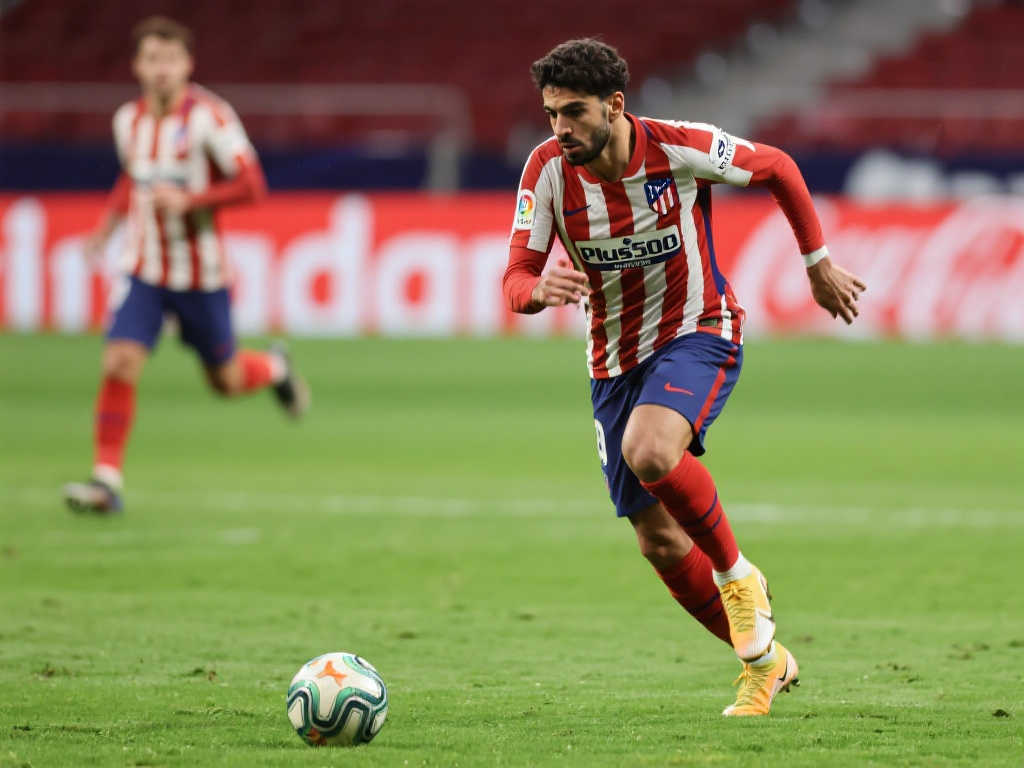 显然也处于 显然也处于