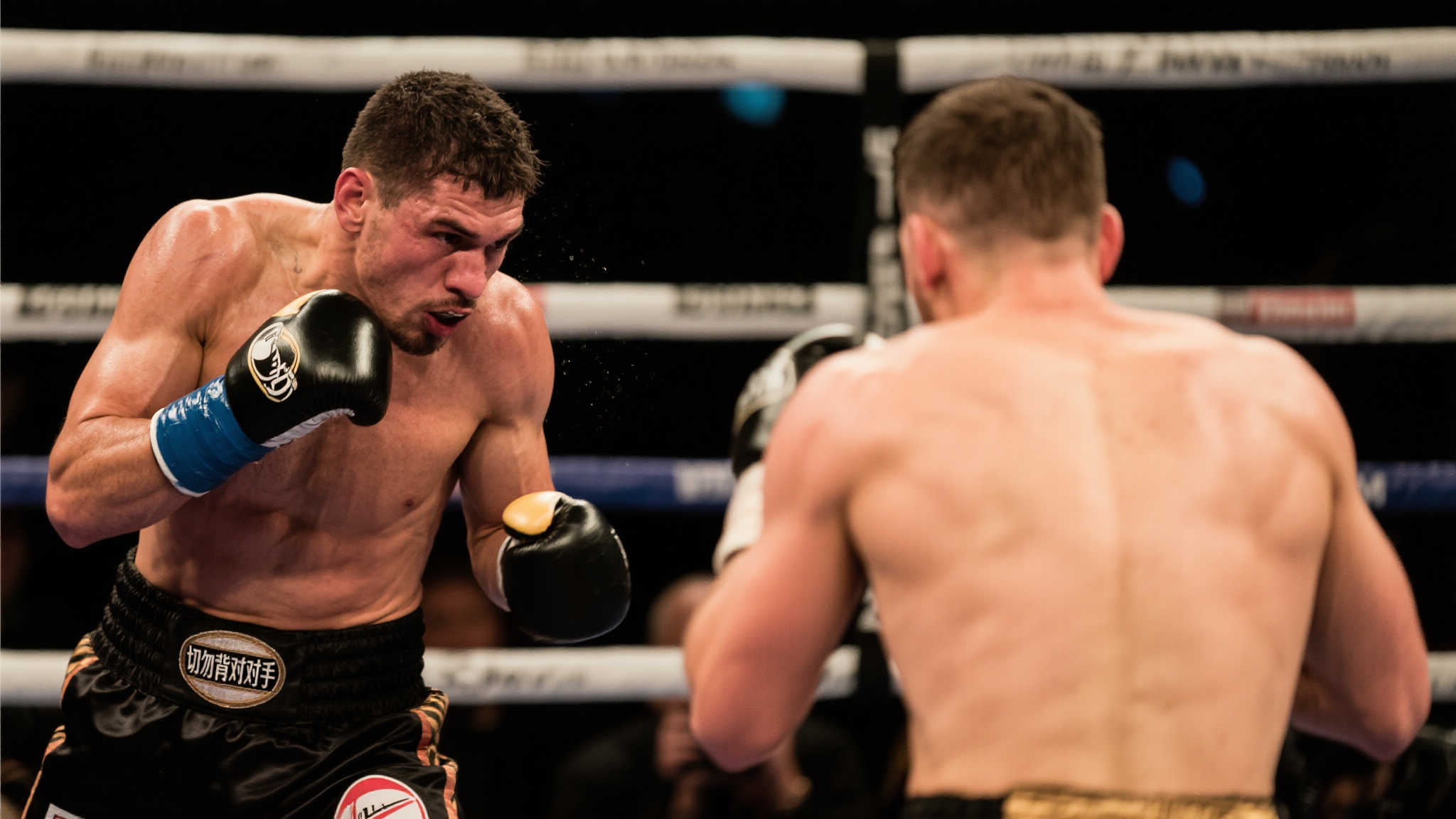 迷的最愛 迷的最愛